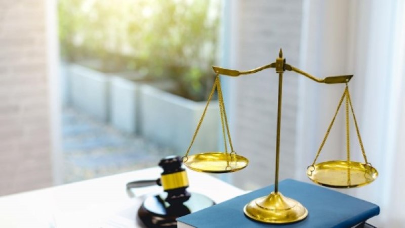 צליפת שוט פיצויים 